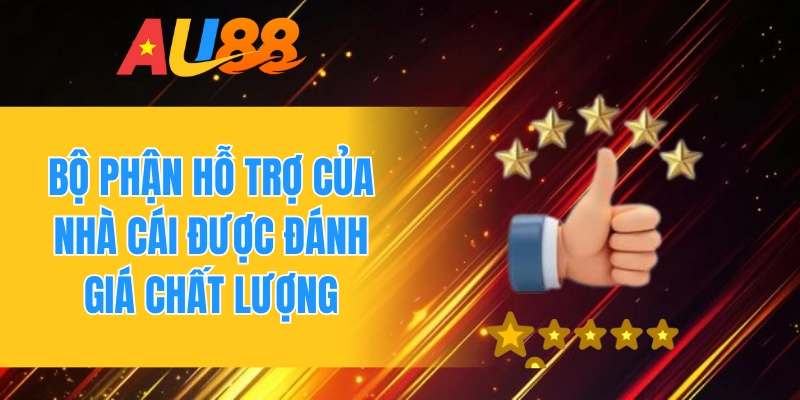 Bộ phận hỗ trợ của nhà cái được đánh giá chất lượng