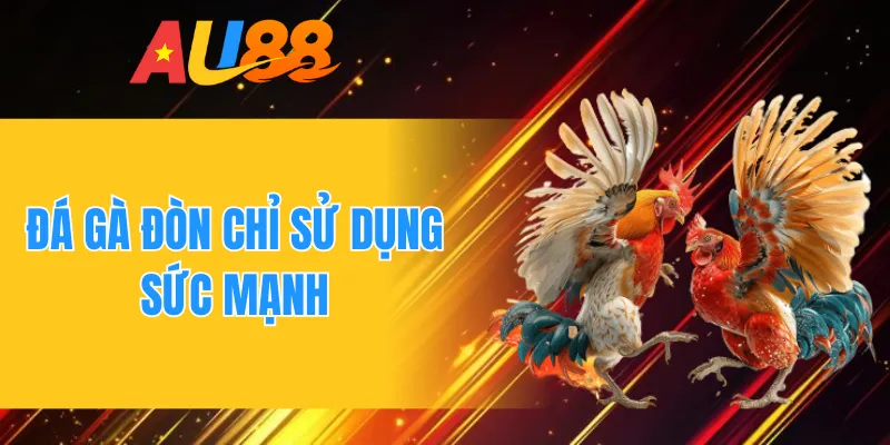 Đá gà đòn chỉ sử dụng sức mạnh