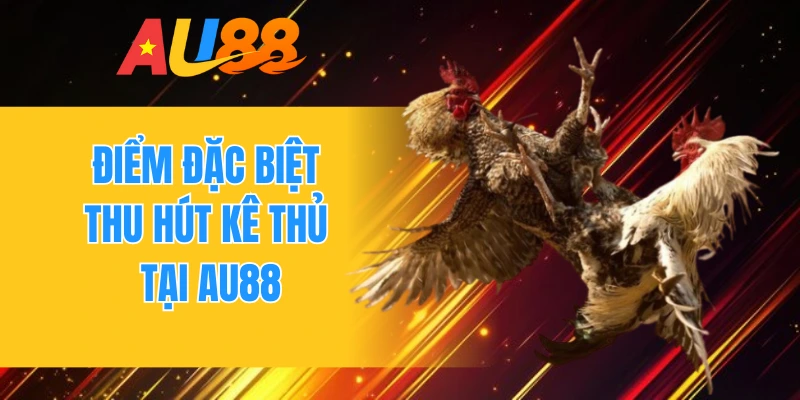 Điểm đặc biệt thu hút kê thủ tại AU88
