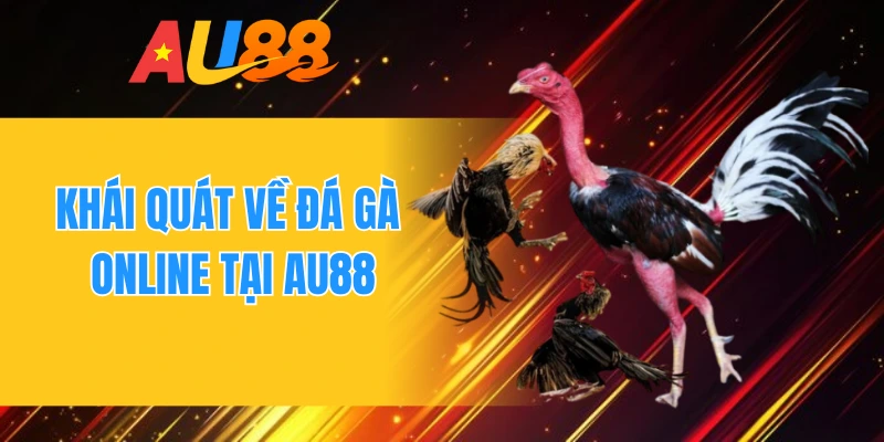 Khái quát về đá gà online tại AU88