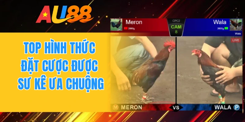 Top hình thức đặt cược được sư kê ưa chuộng